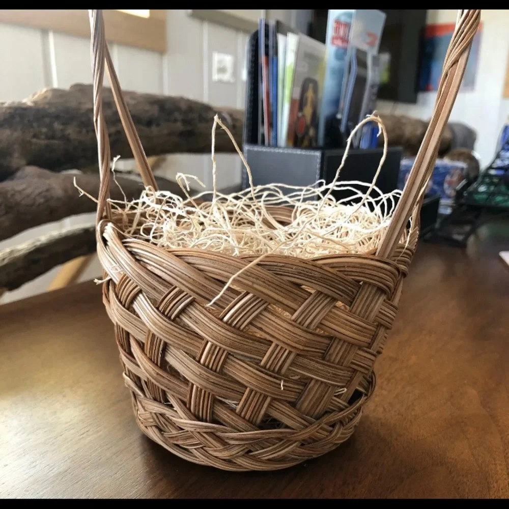 Pair‎ of Twee Little Easter Baskets with Excelsior